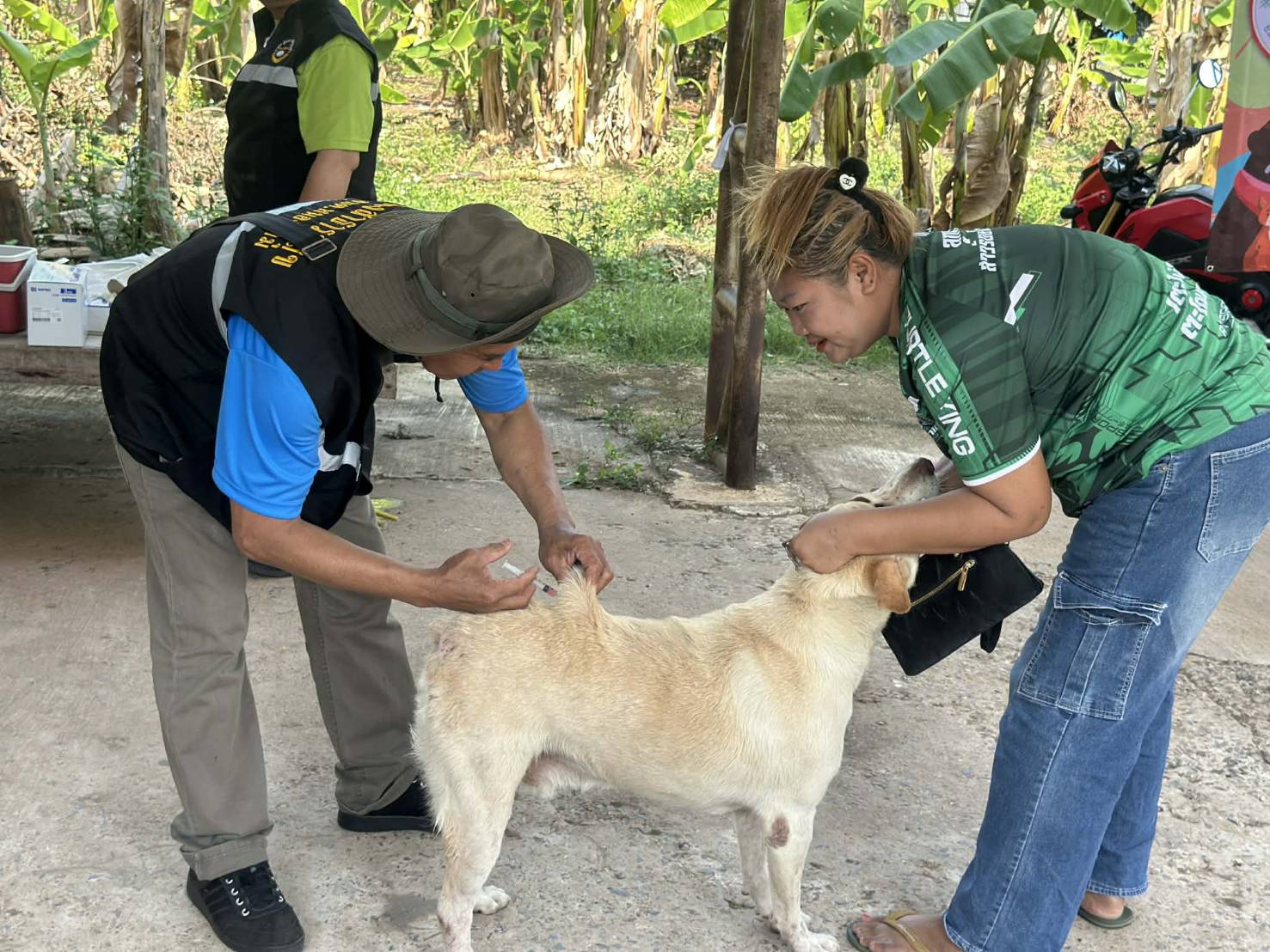 ฉีดวัคซีนป้องกันโรคพิษสุนัขบ้า